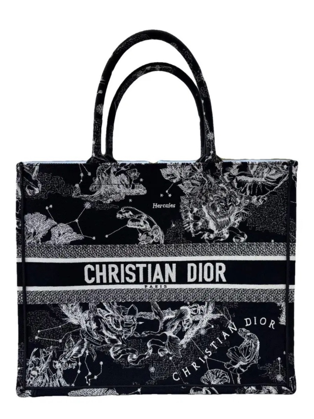 Dior Library Tote - Hercules